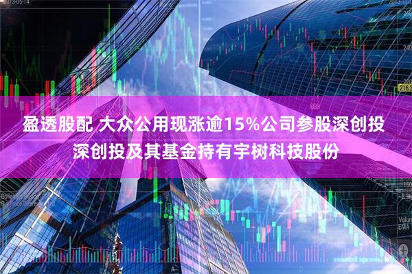 盈透股配 大众公用现涨逾15%公司参股深创投 深创投及其基金持有宇树科技股份